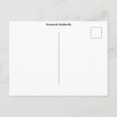 Monarchfalter Klein Postkarte (Rückseite)