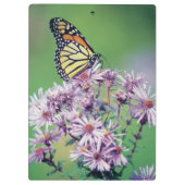 Monarchfalter Klemmbrett (Rückseite)