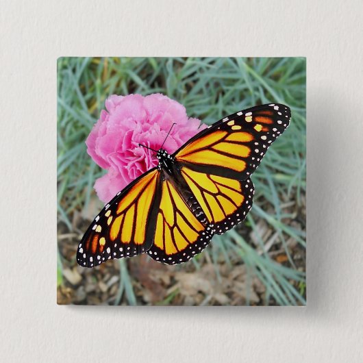 Monarchfalter-Knopf Button (Vorderseite)