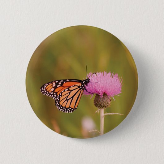 Monarchfalter-Knopf Button (Vorderseite)