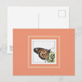 Monarchfalter (koloriert) postkarte (Vorne/Hinten)