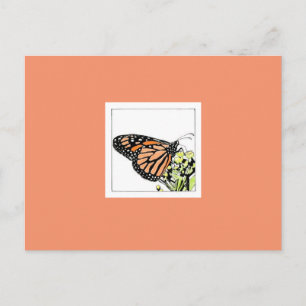 Monarchfalter (koloriert) postkarte