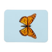 Monarchfalter Magnet (Horizontal)