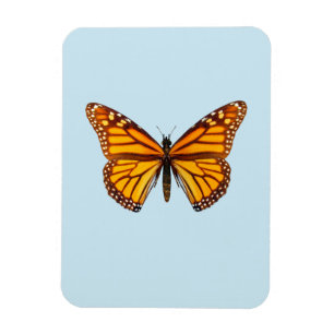 Monarchfalter Magnet