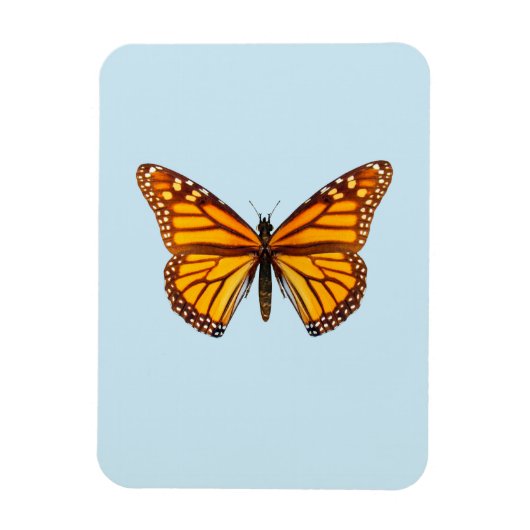 Monarchfalter Magnet (Vertikal)