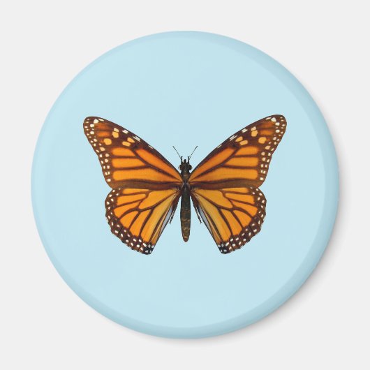 Monarchfalter Magnet (Vorne)