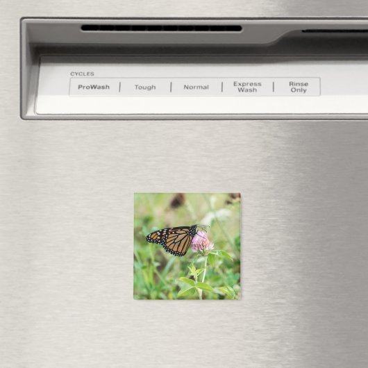 Monarchfalter Magnet (In Situ (Geschirrspüler))