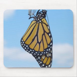 Monarchfalter, mit Puppe Mousepad