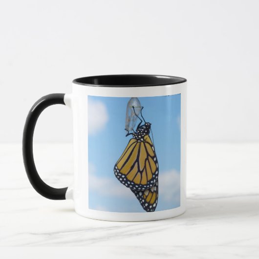 Monarchfalter, mit Puppe Tasse (Links)