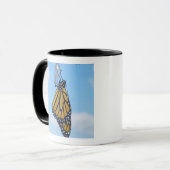 Monarchfalter, mit Puppe Tasse (Vorderseite Links)