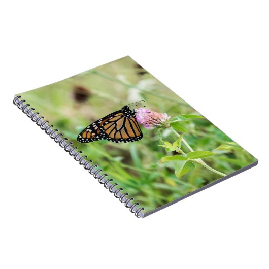 Monarchfalter Notizblock (Rechte Seite)