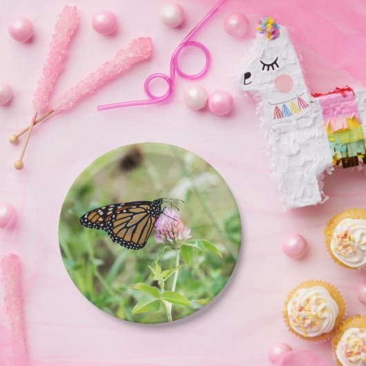 Monarchfalter Pappteller (Party)