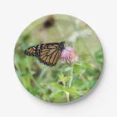 Monarchfalter Pappteller (Vorderseite)