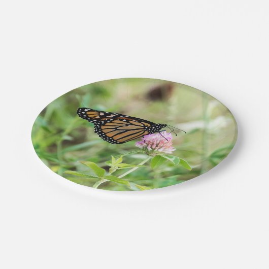 Monarchfalter Pappteller (Schrägansicht)