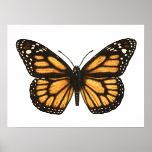 Monarchfalter Poster