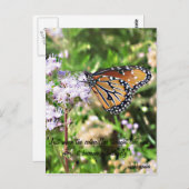 Monarchfalter-Postkarte Postkarte (Vorne/Hinten)