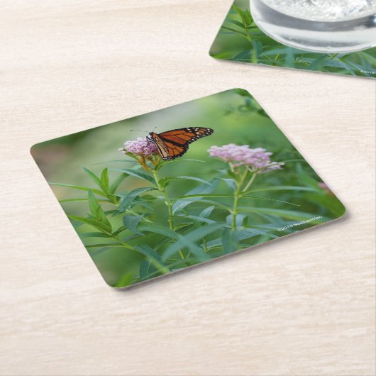 Monarchfalter Rechteckiger Pappuntersetzer (angewinkelt)