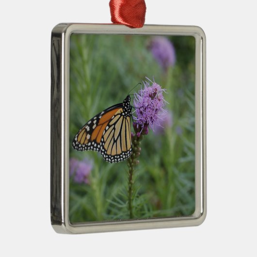 Monarchfalter Silbernes Ornament (Rechts)