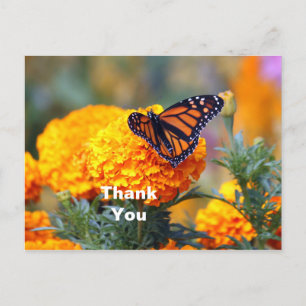 Monarchfalter-Tagetes-Foto-Danke Postkarte