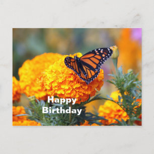 Monarchfalter-Tagetes-Foto-Geburtstag Postkarte