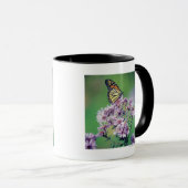 Monarchfalter Tasse (VorderseiteRechts)