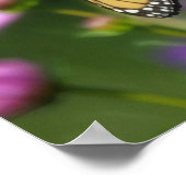 Monarchfalter und Cosmos-Blumen Kunstposter Poster (Ecke)