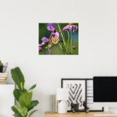 Monarchfalter und Cosmos-Blumen Kunstposter Poster (Heimbüro)