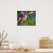 Monarchfalter und Cosmos-Blumen Kunstposter Poster (Küche)