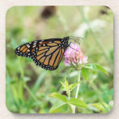 Monarchfalter Untersetzer (Vorderseite)
