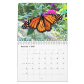 Monarchfalter-Wandkalender Kalender (Feb 2027)