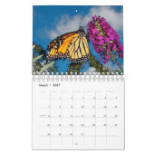 Monarchfalter-Wandkalender Kalender (Mär 2027)