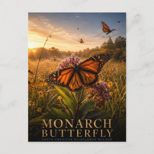 Monarchfalter-Wildblumenwiese TIER Postkarte (Vorderseite)