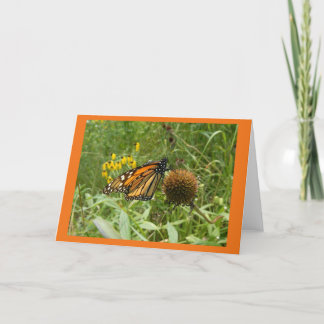 Monarchie auf der leerstehenden Karte des Samenkop