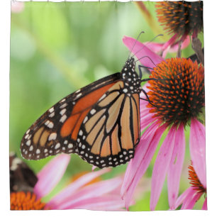 Monarchie-Duschvorhang Duschvorhang