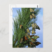 Monarchie Postkarte (Vorne/Hinten)