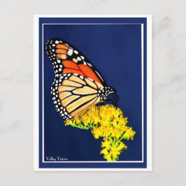 Monarchie und Gelbstreit Postkarte