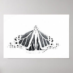 Monarchische Kontur Poster