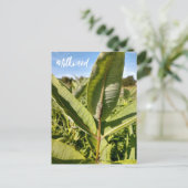 Monarchische Raupe auf der Milchkweed-Postkarte Postkarte (Stehend Vorderseite)