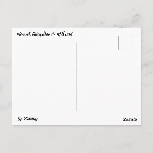 Monarchische Raupe auf der Milchkweed-Postkarte Postkarte (Rückseite)