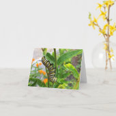 Monarchische Raupe Karte (Gelbe Blume)
