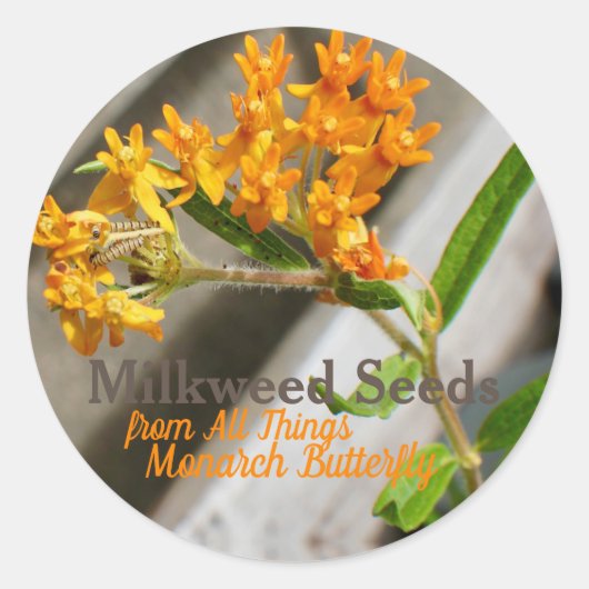 Monarchische Raupe Runder Aufkleber (Vorderseite)