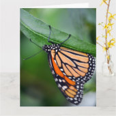 Monarchkarte Karte (Gelbe Blume)