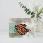 Monarchruhezeit Postkarte (Stehend Vorderseite)