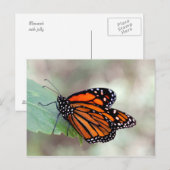 Monarchruhezeit Postkarte (Vorne/Hinten)