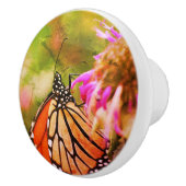 Monarchschmetterling auf Blume Nah Abstrakt Keramikknauf (Rechts)