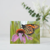 Monarchschmetterling auf dem Lila Foto Postkarte (Stehend Vorderseite)