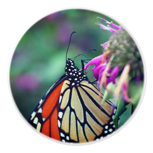 Monarchschmetterling auf der Blume Nah Keramikknauf (Vorderseite)