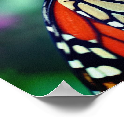 Monarchschmetterling auf der Blume Nah Poster (Ecke)