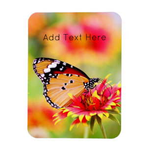 Monarchschmetterling auf der Blume Rot und Gelb Magnet