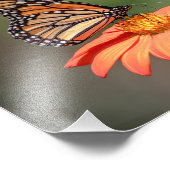 Monarchschmetterling auf einer orangen Blume Fotodruck (Ecke)